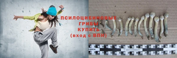 СК Костерёво