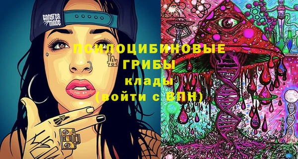 spice Карпинск