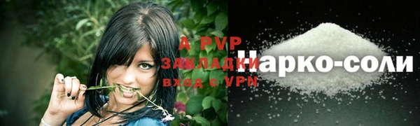круглые Корсаков