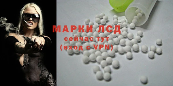 a pvp Коряжма
