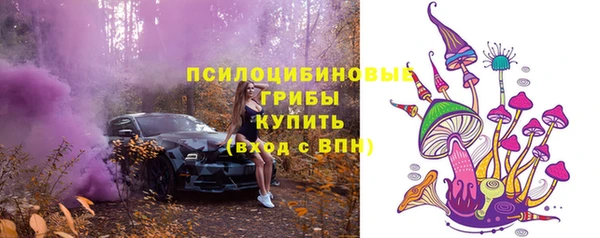 молекула духа Карталы