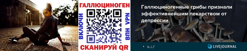Псилоцибиновые грибы ЛСД  где продают наркотики  Краснозаводск 